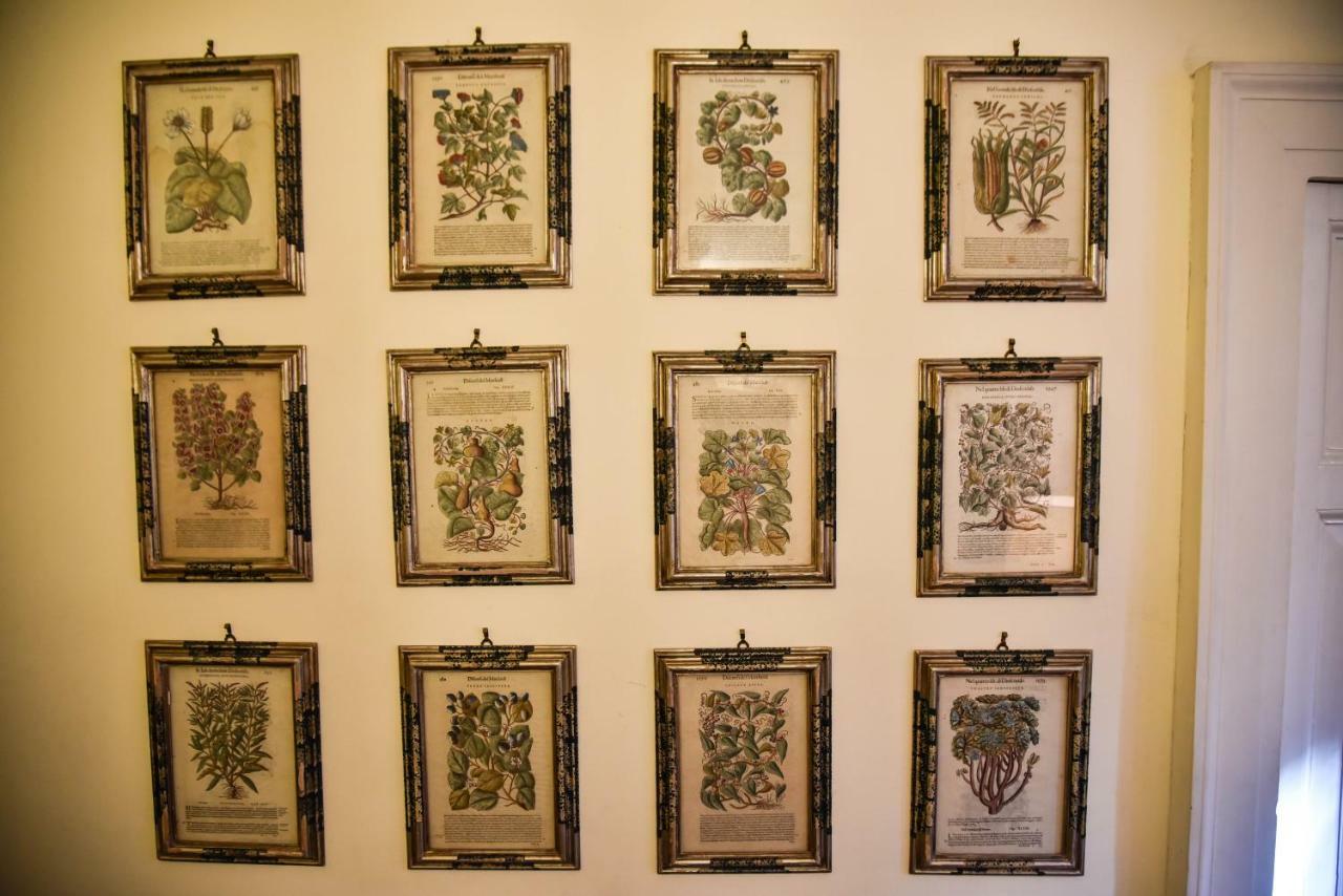 Stylish Apartment In Central Rome "Centro Storico" Екстер'єр фото