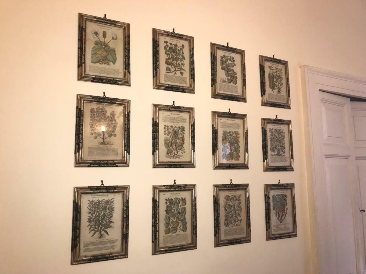 Stylish Apartment In Central Rome "Centro Storico" Екстер'єр фото